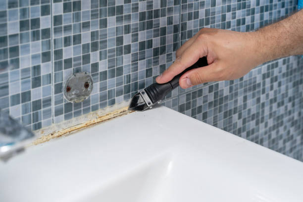 Best Same-Day Mold Removal  in Gunter, TX