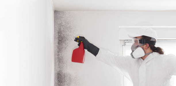 Best Crawl Space Mold Removal  in Gunter, TX
